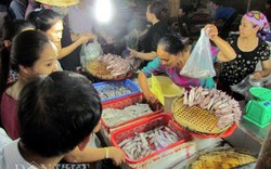 Nhộn nhịp mua bán hải sản sạch sau sự cố cá chết