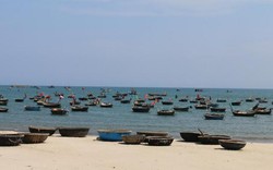 Gà chết ở Đà Nẵng không phải do ăn cá biển