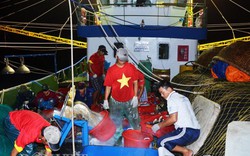 Quảng Ngãi: Đội tàu cá vỏ thép của "Quỹ hỗ trợ ngư dân"