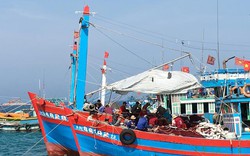 Ngư dân bình thản đánh bắt mặc lệnh cấm phi lý của Trung Quốc