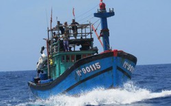 Trung Quốc cấm đánh bắt cá ở Biển Đông: Tàu cá Việt Nam vẫn ra khơi