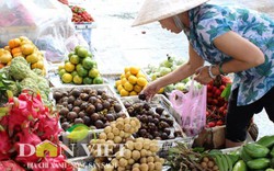 Trái cây Thái vào Việt Nam vẫn tăng dù...cảnh báo không an toàn