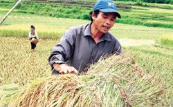 Xây dựng nông thôn mới: “Nhanh phải đi liền với vững chắc”