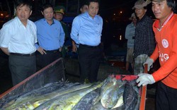 Chủ tịch Đà Nẵng bất ngờ thăm, động viên ngư dân lúc giữa đêm
