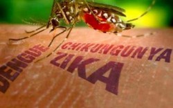 Virus Zika vẫn tiếp tục lan rộng