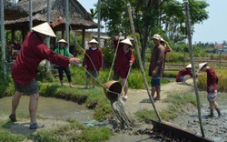 Du lịch đồng quê, trải nghiệm cưỡi trâu, bắt cá