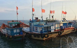 Báo nước ngoài viết về ngư dân Việt trên Biển Đông