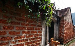 Lời thì thầm của ngõ đá ong trong ngôi làng Việt