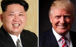 Triều Tiên dè bỉu lời đề nghị của tỉ phú Donald Trump