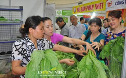 Hàng nghìn người tham dự phiên chợ nông sản an toàn tại Hà Nội