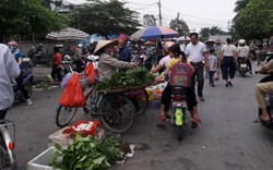 Hải Phòng: Chợ tiền tỷ đìu hiu...