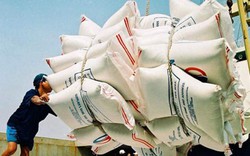 Đốc thúc xây dựng chiến lược xuất khẩu gạo