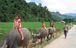 Hành trình 10 ngày khám phá miền núi phía Bắc Việt Nam