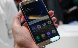 Lựa chọn Samsung Galaxy S7 Edge hay Galaxy S6 Edge?