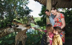 5 sở thú ở đảo quốc sư tử khiến trẻ em "phát cuồng"