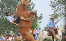 Có những nỗi "nhọ" khiến bạn tổn thọ