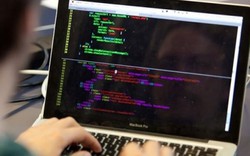 Phân biệt Coder, Programmer, Developer, Hacker, Computer Scientist