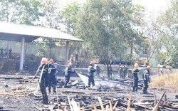 Đà Nẵng: Cháy lớn bãi chứa gỗ, thiêu rụi nhiều tỷ đồng