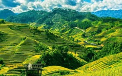 Việt Nam đứng đầu top điểm du lịch một mình được yêu thích