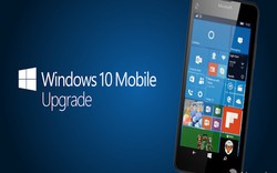 Windows 10 chính thức "cập bến" Lumia 640 và 735