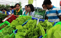 Khuyến cáo sản xuất thực phẩm, nông sản an toàn