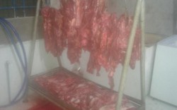 Bắt quả tang cơ sở "phù phép" thịt trâu Ấn Độ thành thịt bò
