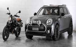 Ngắm mẫu Mini Clubman All4 Scrambler concept mới