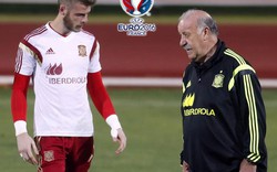 TIN NHANH EURO (12.6): ĐT Bỉ nhận tin “sét đánh”, Del Bosque bênh vực De Gea