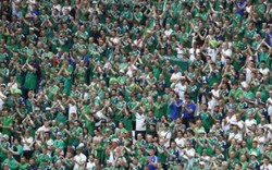 Euro 2016: Fan chết gục tại sân khi xem trận Ukraine và Bắc Ireland