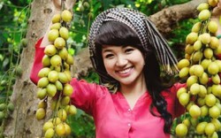 Khám phá 5 miệt vườn trái cây quanh Sài Gòn ít ai biết