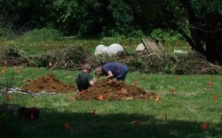 Mỹ: Nghĩa trang chó dừng hoạt động, trăm người ra đào xác