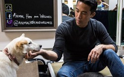 Chàng trai Mỹ đi "phá" lễ hội thịt chó ở Trung Quốc