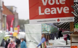Dân Anh đi bỏ phiếu “ly dị” EU chấn động thế giới