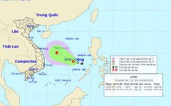 Xuất hiện áp thấp nhiệt đới trên Biển Đông