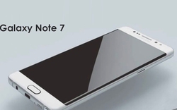 Tổng hợp thông tin về Samsung Galaxy Note 7 và Note 7 Edge