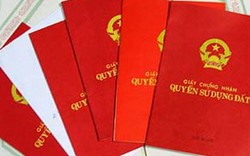 Chủ tịch Nguyễn Đức Chung: Cấp sổ đỏ cho dân trước, xét chủ đầu tư sau