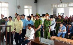 Xử vụ phá rừng “khủng” ở Đà Nẵng: Trả hồ sơ điều tra lại