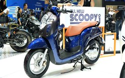 Soi Honda Scoopy i hoàn toàn mới giá 31,8 triệu đồng