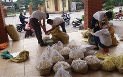 Thanh niên Nghệ An chung tay “giải cứu” hành tăm cho dân