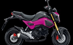 Honda MSX125SF mới giá 46,5 triệu đồng cho giới trẻ