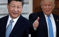 Hé lộ người đàn ông quyền lực dàn xếp cuộc gặp Trump-Tập