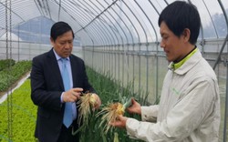 Hỗ trợ để nông dân Việt Nam sớm làm giỏi như nông dân Nhật Bản