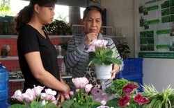 Tối nay 10.4, khai mạc Hội chợ NDXS: Chung tay vì nông sản Việt