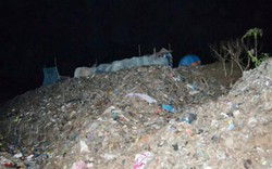 Phát hiện chân người trong túi ni lông tại bãi rác lớn nhất Trà Vinh