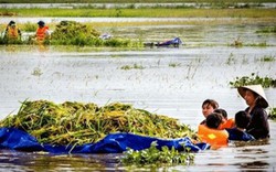 Ninh Bình khởi động đại dự án du lịch: "Quên" việc thoát lũ?