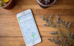 Bộ GTVT chính thức thông qua đề án thí điểm của Uber