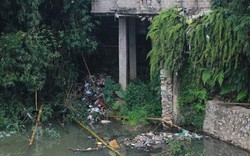 Nghệ An: Yêu cầu xử lý rác gây ô nhiễm tại chân cầu Phú Phương