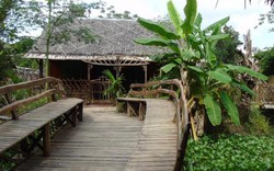 Mê mẩn homestay sinh thái “sang, chảnh” đậm chất miền Tây