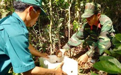 Quảng Ngãi: Kiểm tra và xử lý bom, mìn tại núi Khỉ