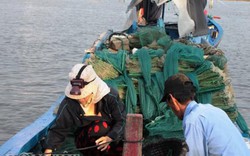 Khánh Hòa: Trúng đậm tôm, ghẹ, ngư dân “đút túi” gần triệu đồng/đêm